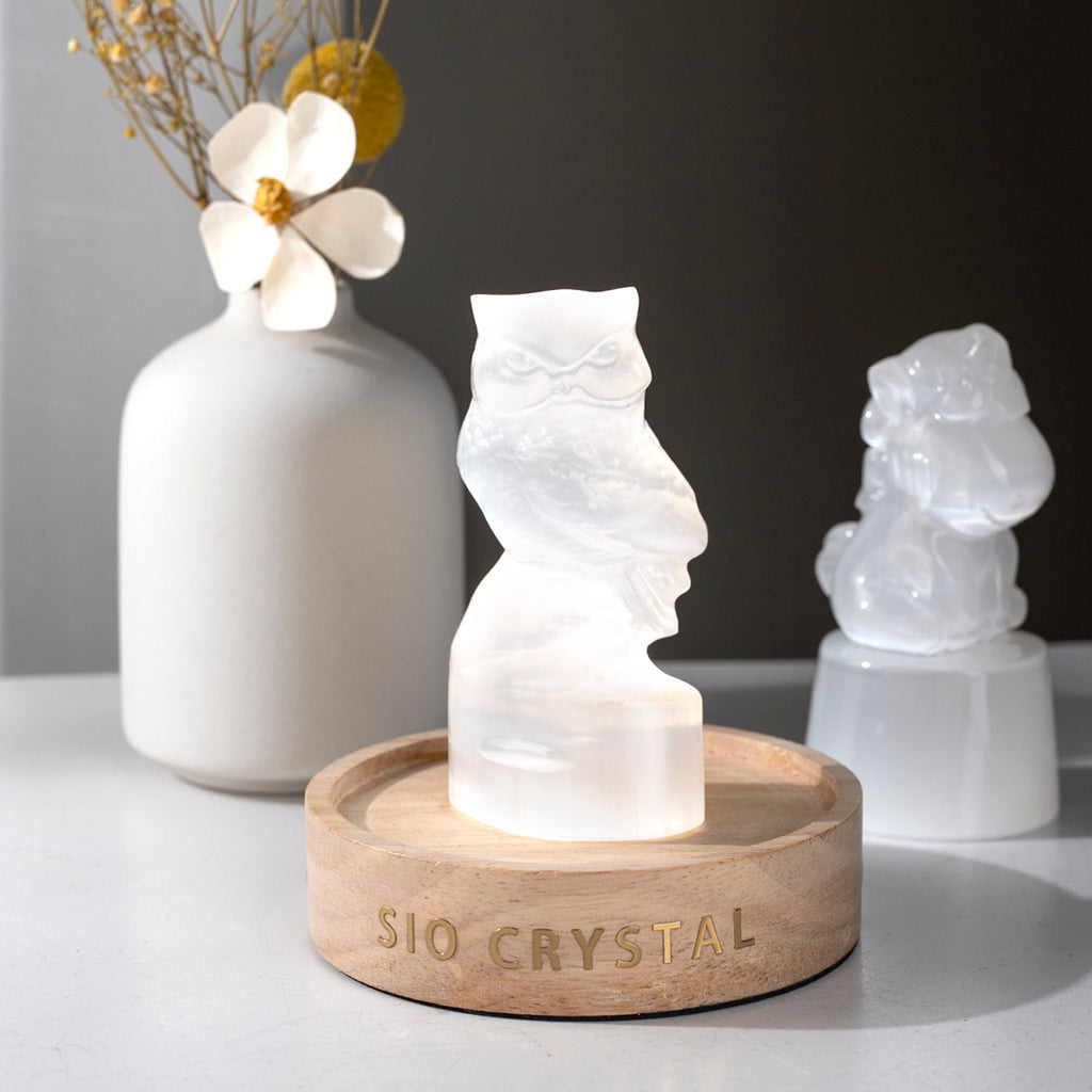 【透石膏系列】能量萌寵(透石膏擺件-六款)