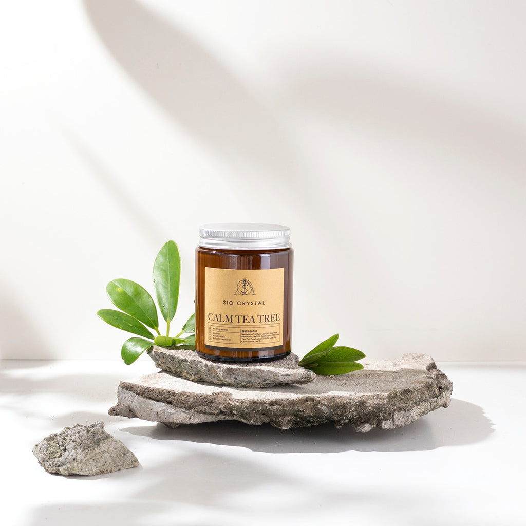Calm Tea Tree【靜謐茶樹森林】天然植物精油香氛蠟燭